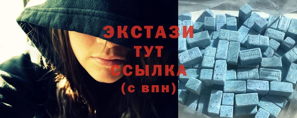 стаф Алексин